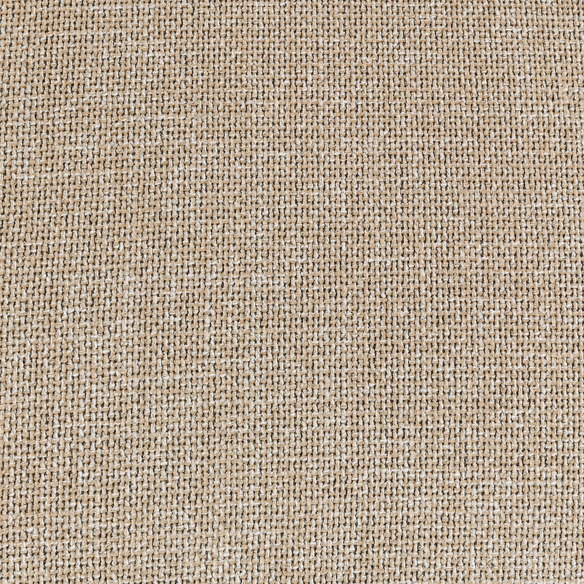 Donovan Sofa - Bisque