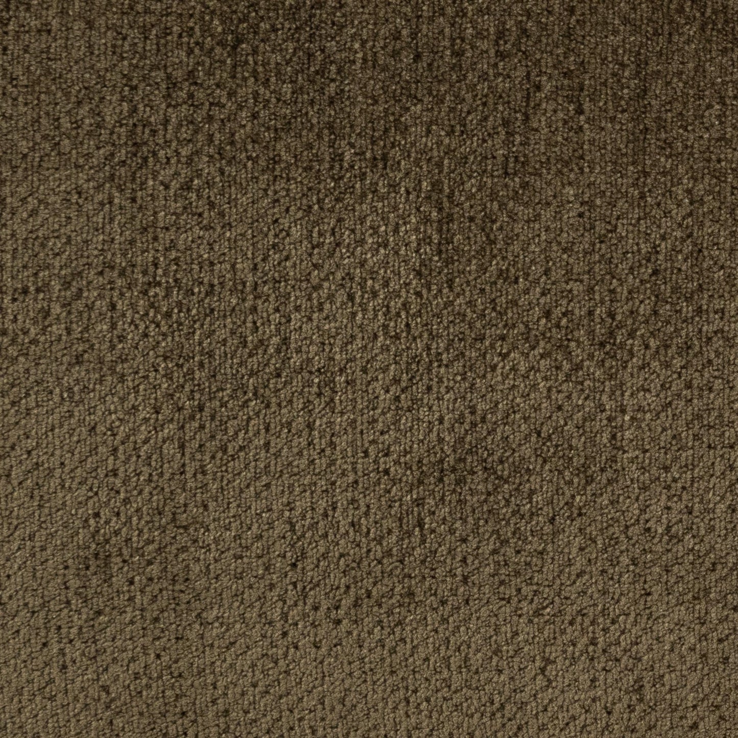 Nico Upholstered Sofa - Olive Green