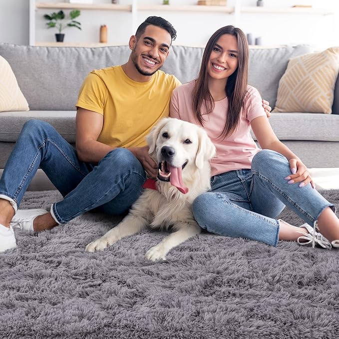 Noahas Fluffy Grey Area Rugs for Bedroom Living Room,4x5.3 Feet Thick Shag Throw Floor Carpet,Soft Shaggy Non-Slip Plush Dorm Nursery Kids Rug Home Decor Aesthetic