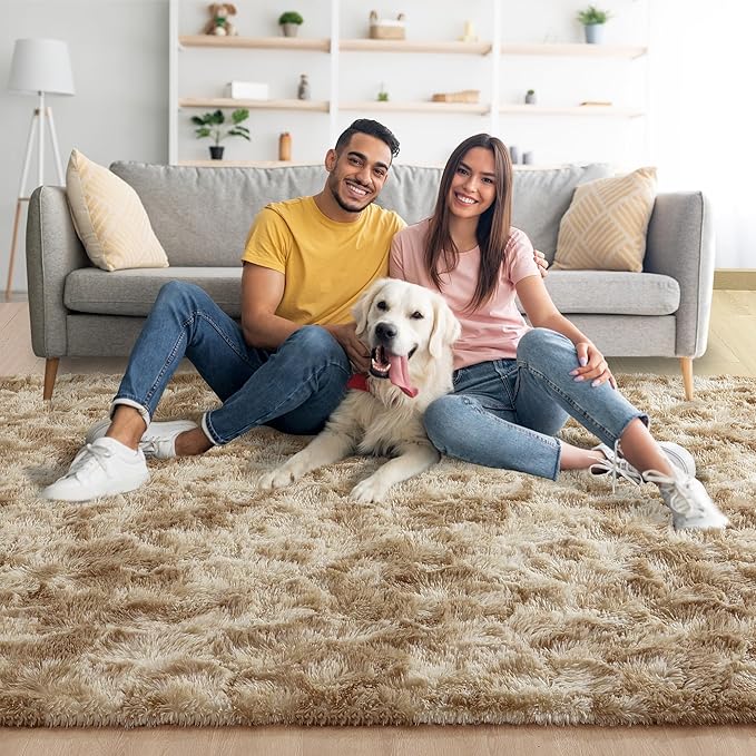 Noahas Fluffy 4x6 Area Rugs for Bedroom Living Room,Tie-Dyed Beige Thick Shag Throw Floor Carpet,Soft Shaggy Bedside Non-Slip Plush Dorm Nursery Kids Rug
