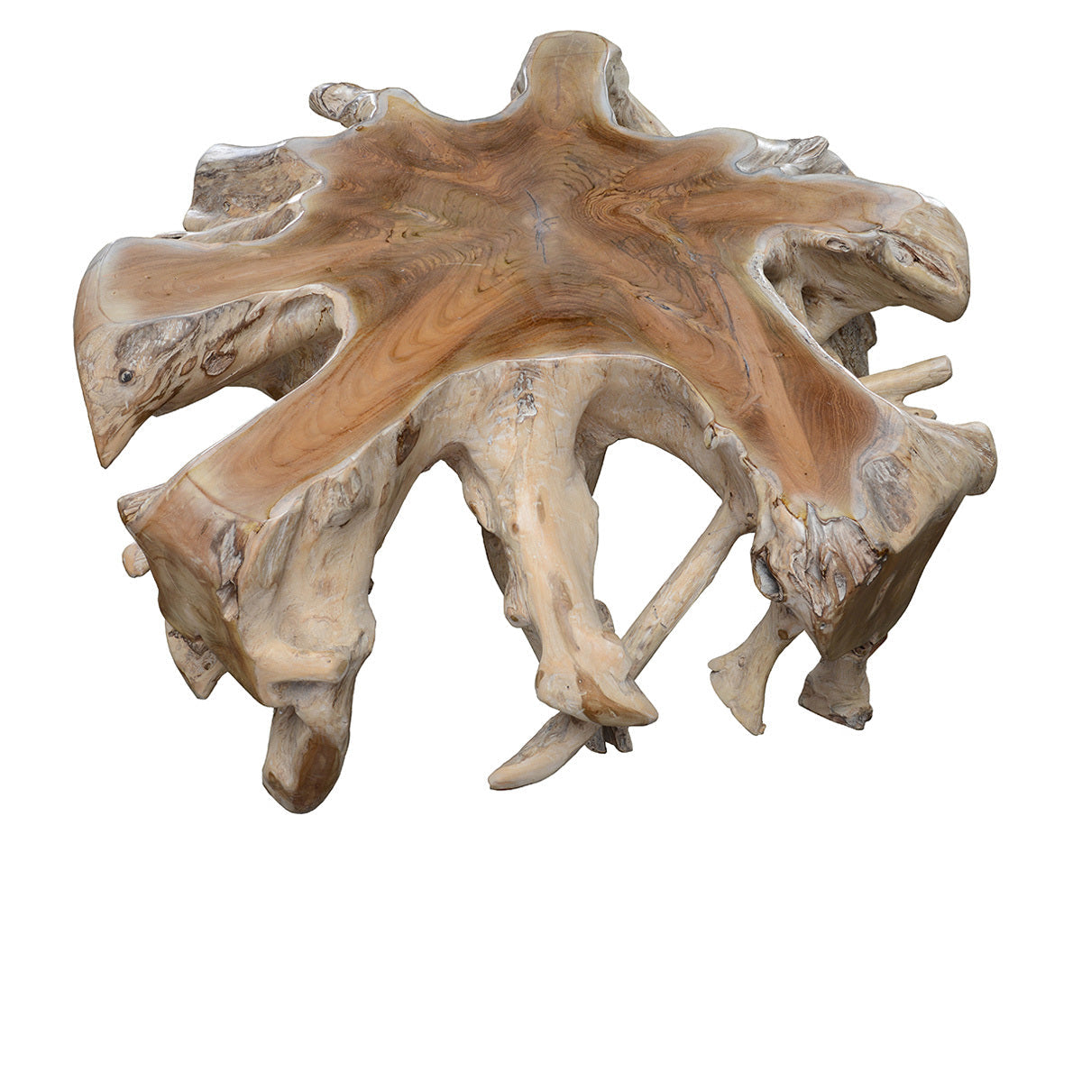 Cypress Teak Root Coffee Table - Natural