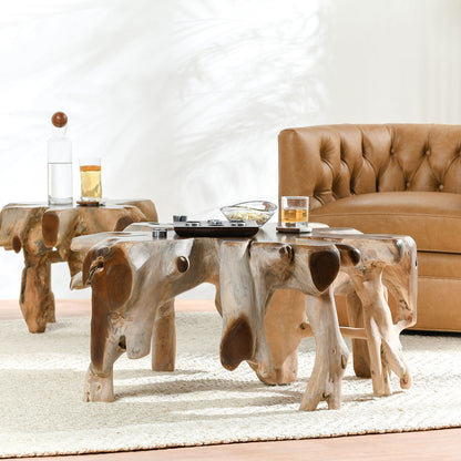Groot Teak Root Coffee Table - Natural