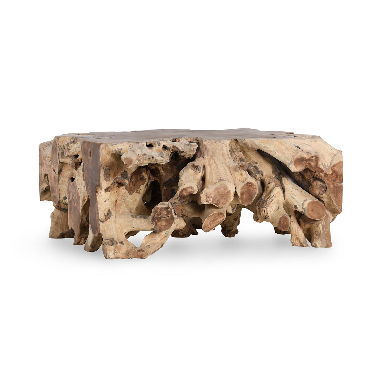 Cypress Root 40" Square Coffee Table Natural - Natural