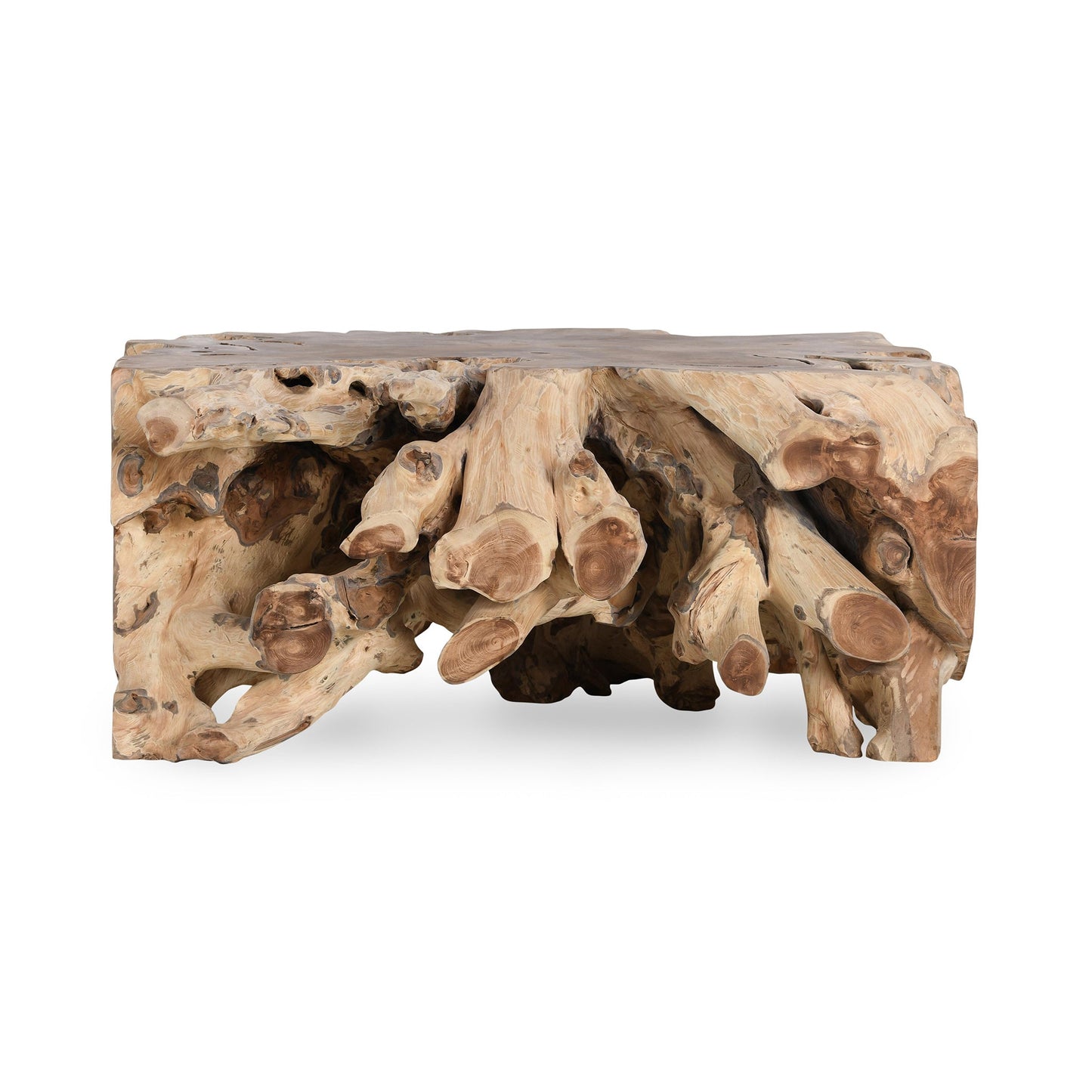 Cypress Root 40" Square Coffee Table Natural - Natural