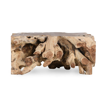 Cypress Root 40" Square Coffee Table Natural - Natural