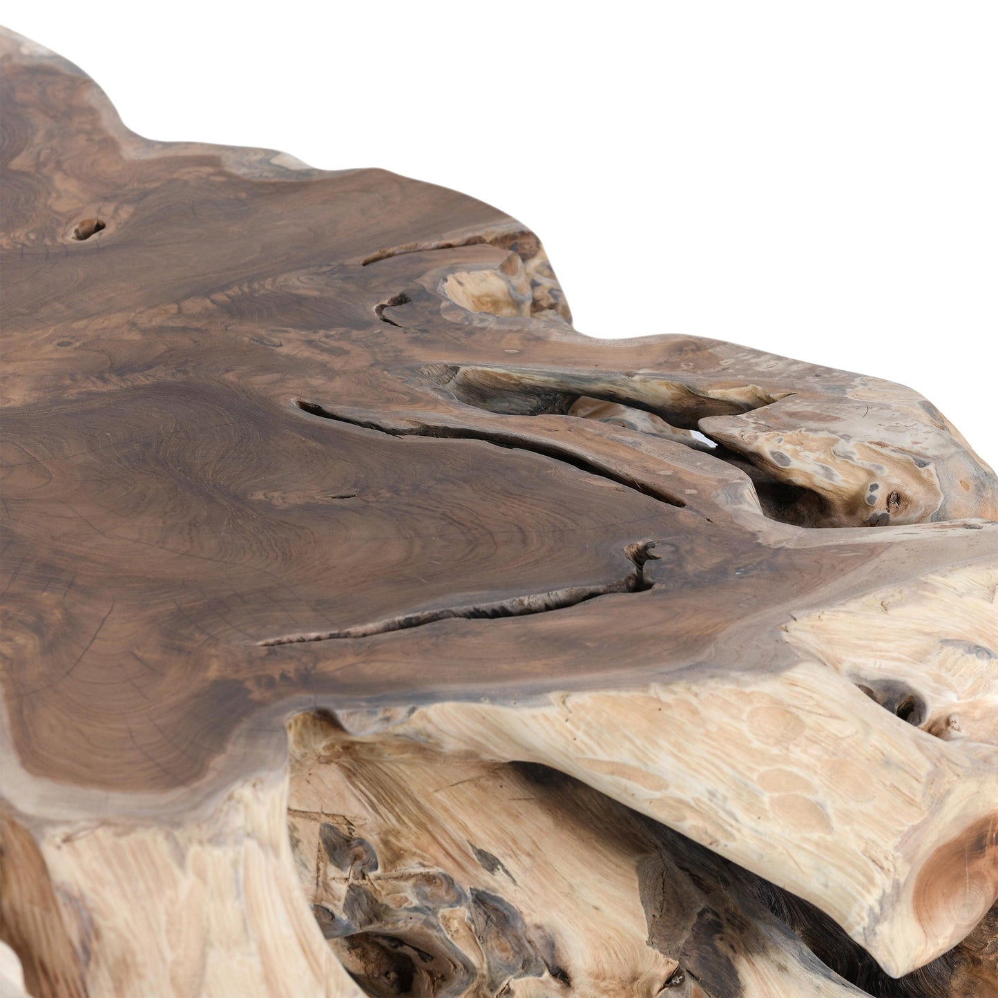Cypress Root 40" Square Coffee Table Natural - Natural