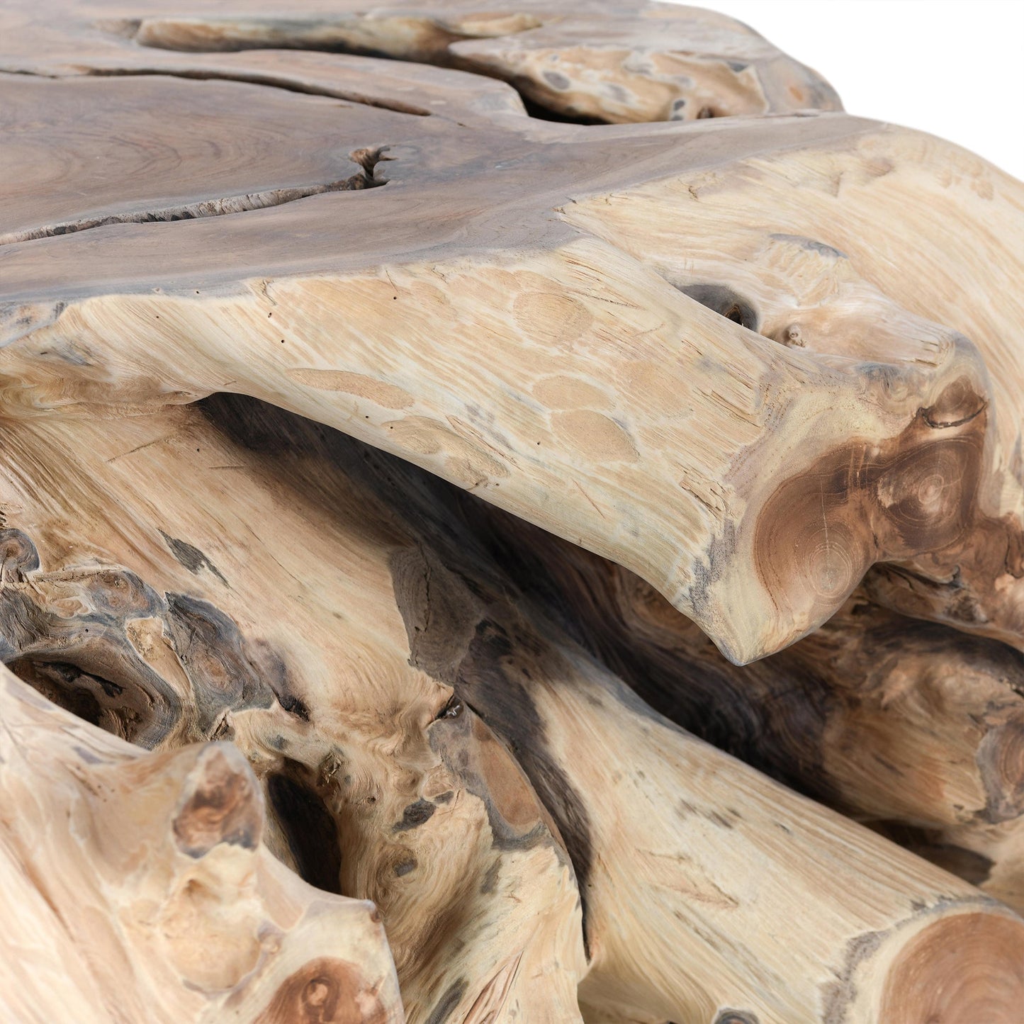 Cypress Root 40" Square Coffee Table Natural - Natural
