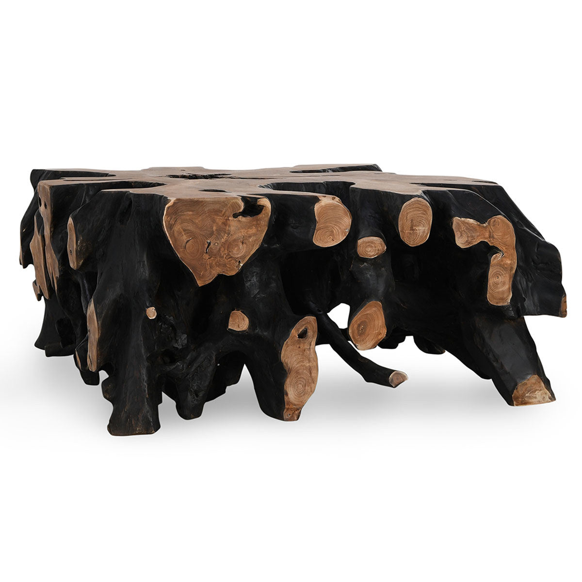Cypress Teak Root Square Coffee Table - Black/Natural