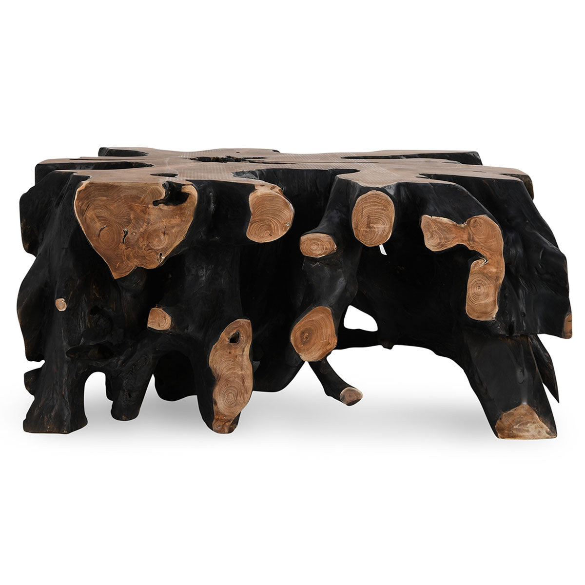 Cypress Teak Root Square Coffee Table - Black/Natural