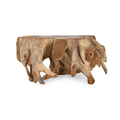 Cypress Teak Root Coffee Table - Natural