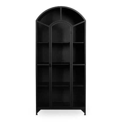 Lillo Metal/Glass Single Door Cabinet - Black