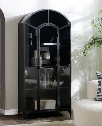 Lillo Metal/Glass Single Door Cabinet - Black