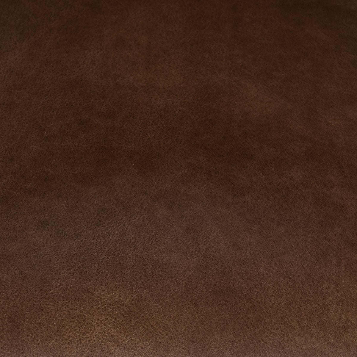 Archie Leather Dining Chair - Bison Brown