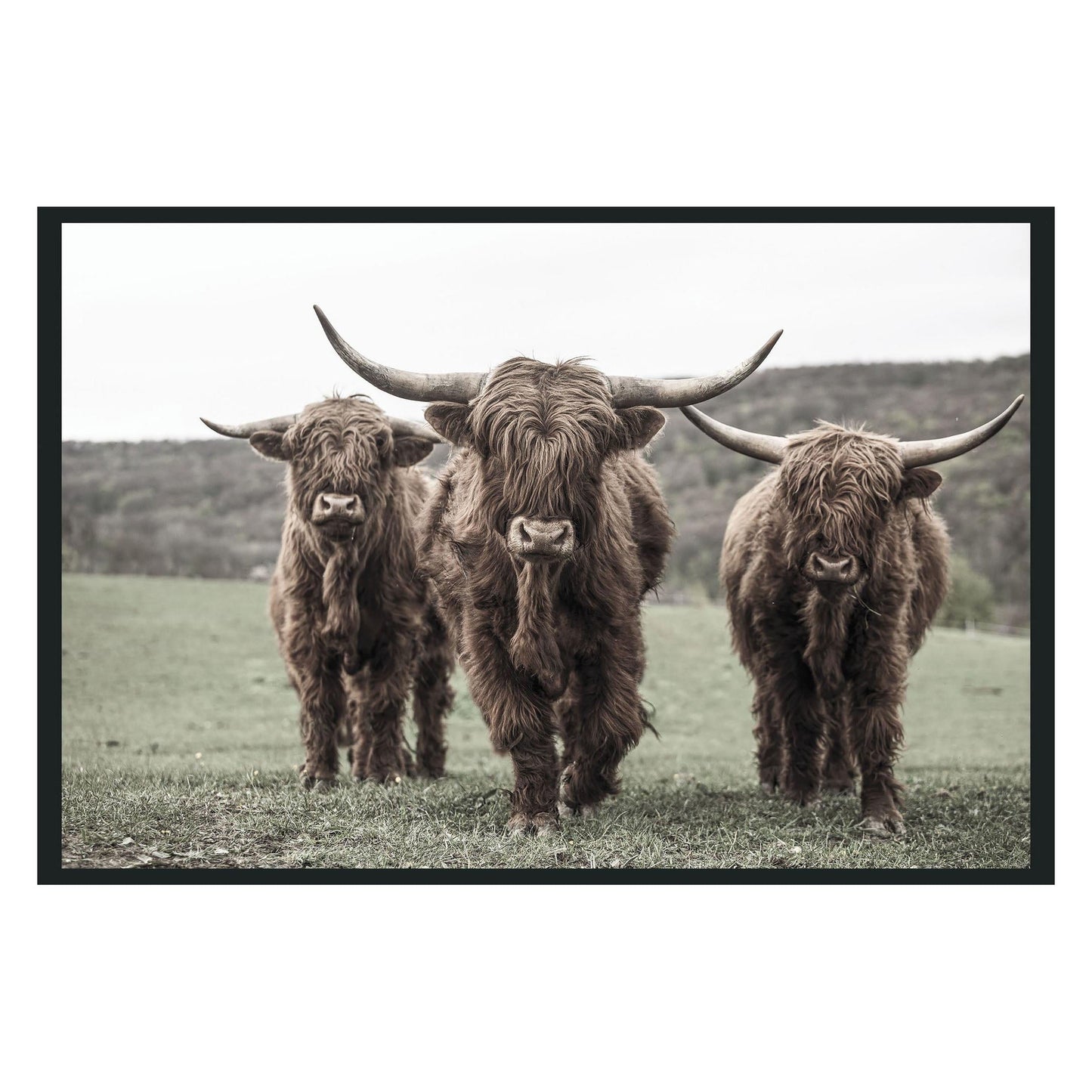 Highland Photography 48x72