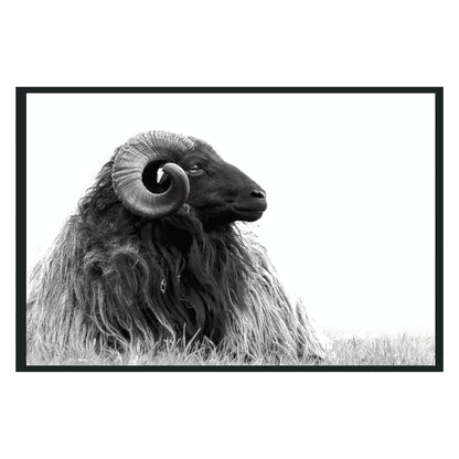 Horn Photography 48x72