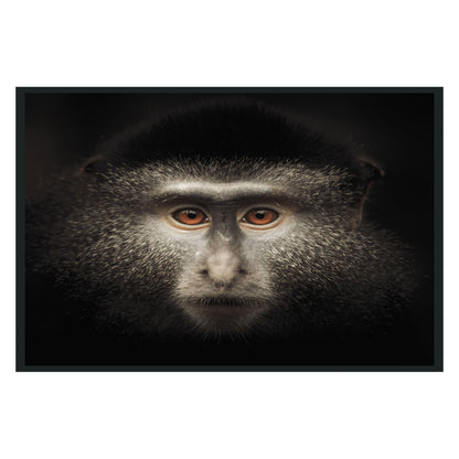 Monkey Photography 48x72