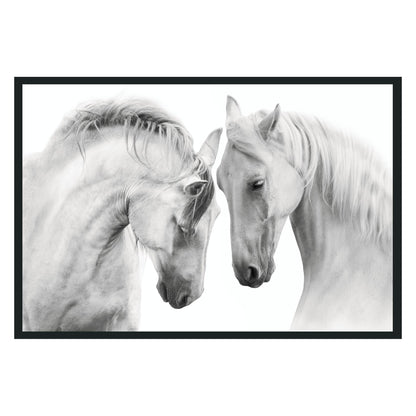 White Horses  Photography