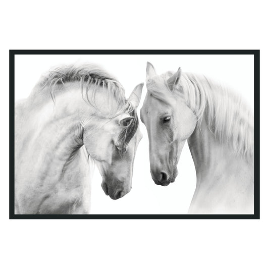 White Horses  Photography