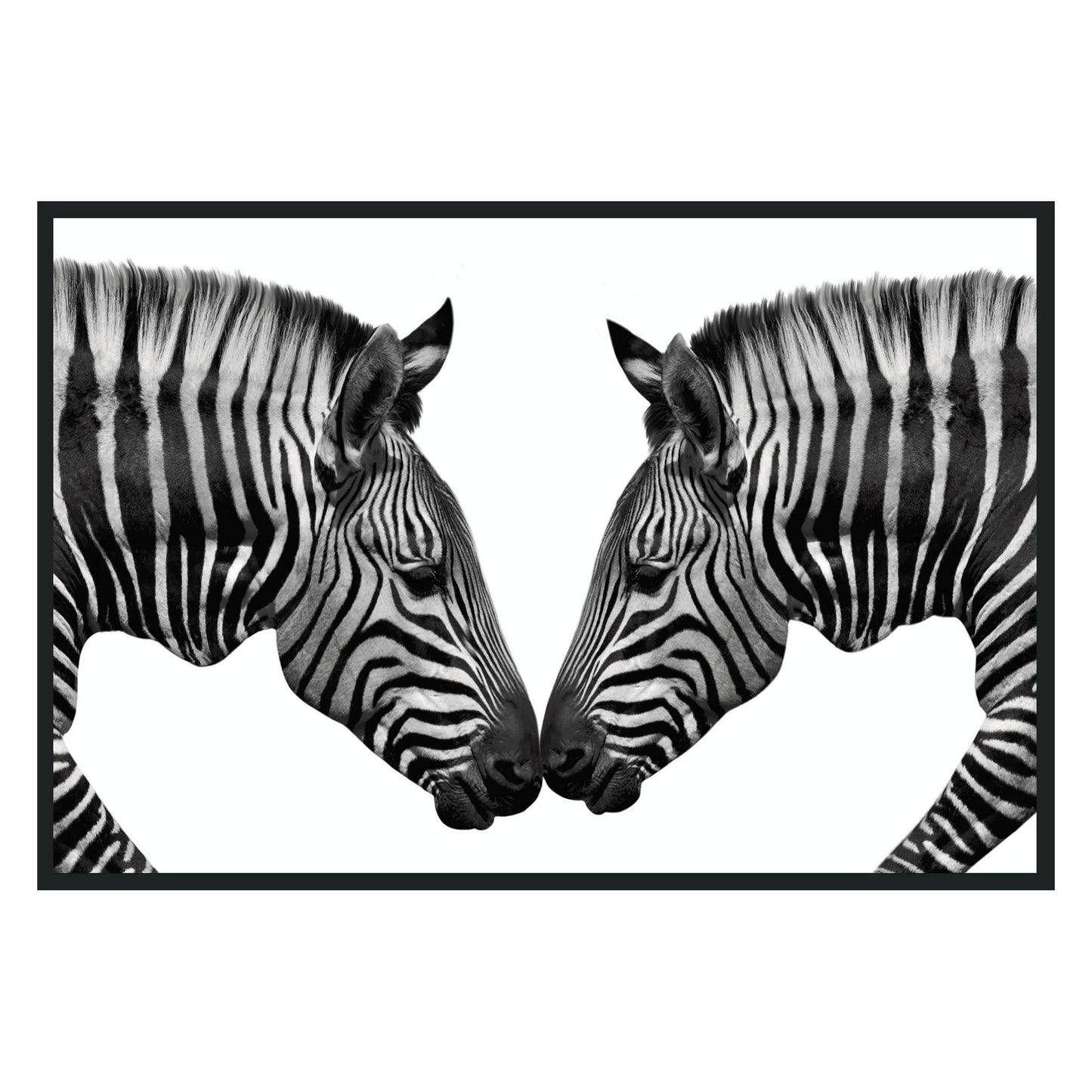 Zebras Photography 48x72