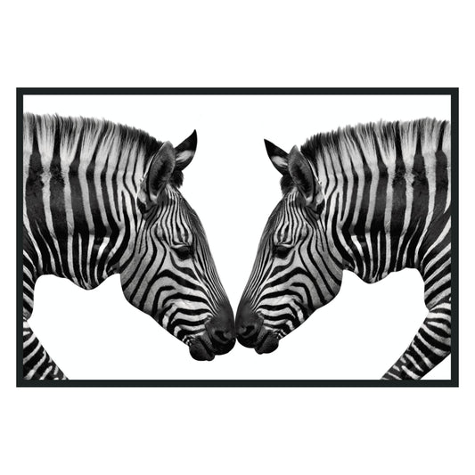 Zebras Photography 48x72