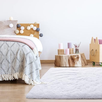 Noahas Large Fluffy 8x10 Area Rugs for Living Room Bedroom,Thick Shag Throw Rug,Big Soft Shaggy Bedside Non-Slip Plush Dorm Nursery Kids Carpet