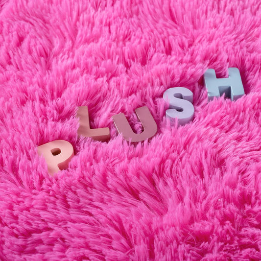 Noahas Fluffy 4x6 Hot Pink Rugs for Bedroom Girls,Shaggy Kids Rug,Thick Shag Throw Carpet,Soft Non-Slip Dorm Nursery Area Rugs for Living Room Home Decor Aesthetic
