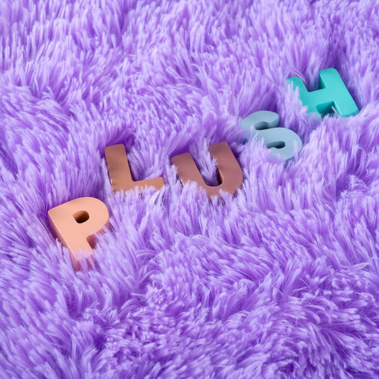 Noahas Fluffy 4x6 Purple Rugs for Bedroom Girls,Shaggy Kids Rug,Thick Shag Throw Floor Carpet,Soft Non-Slip Dorm Nursery Area Rugs for Living Room Home Decor