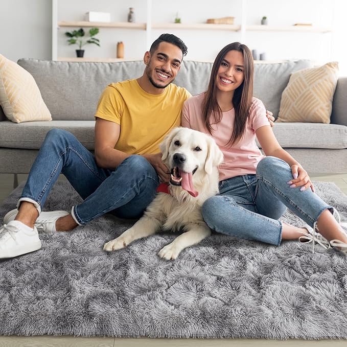 Noahas 8x10 Area Rugs for Living Room,Tie-Dyed Grey Area Rug,Big Shaggy Rugs for Bedroom,Fluffy Large Carpet,Soft Kids Rug Non Slip Reduce Noise Room Decor