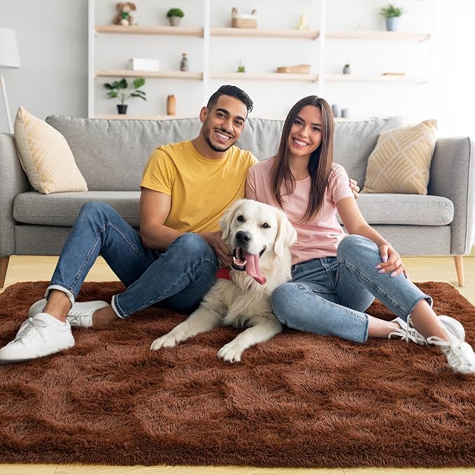 Noahas Fluffy Brown Area Rugs for Bedroom Living Room,4x5.3 Feet Thick Shag Throw Floor Carpet,Soft Shaggy Non-Slip Plush Dorm Nursery Kids Rug Home Decor Aesthetic