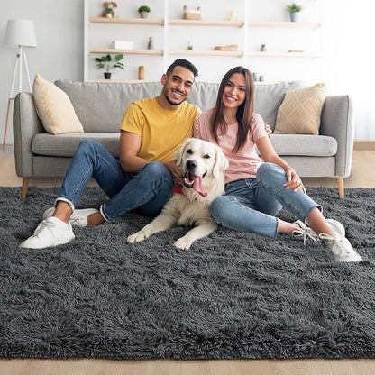 Noahas Fluffy Dark Grey 4x6 Area Rugs for Bedroom Living Room,Thick Shag Throw Floor Carpet,Soft Shaggy Bedside Non-Slip Plush Dorm Nursery Kids Rug