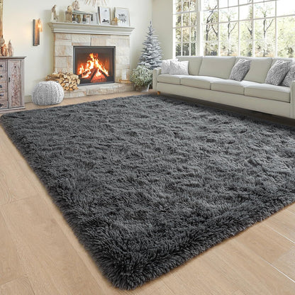 Noahas Fluffy Dark Grey 4x6 Area Rugs for Bedroom Living Room,Thick Shag Throw Floor Carpet,Soft Shaggy Bedside Non-Slip Plush Dorm Nursery Kids Rug