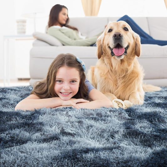 Noahas 5x8 Area Rugs for Living Room,Tie-Dyed Blue and Grey Area Rug,Big Shaggy Rugs for Bedroom,Fluffy Large Carpet,Soft Kids Rug Non Slip Reduce Noise Room Decor