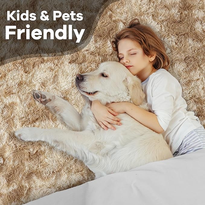Noahas Fluffy 4x6 Area Rugs for Bedroom Living Room,Tie-Dyed Beige Thick Shag Throw Floor Carpet,Soft Shaggy Bedside Non-Slip Plush Dorm Nursery Kids Rug