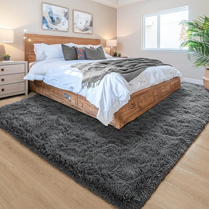 Noahas Fluffy Dark Grey 4x6 Area Rugs for Bedroom Living Room,Thick Shag Throw Floor Carpet,Soft Shaggy Bedside Non-Slip Plush Dorm Nursery Kids Rug